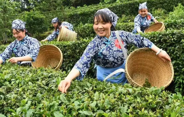 新中式茶馆里怎么聊天最舒服？我先说结论：位置选错，神仙茶点都救不了场