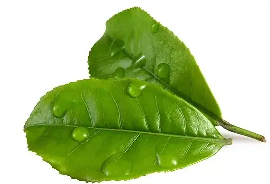 魔都单身日常：下班后的自我充电，才是独居青年最狠的底牌